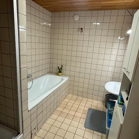 Helle In Gruener Lage - Naehe Zentrum * Linz